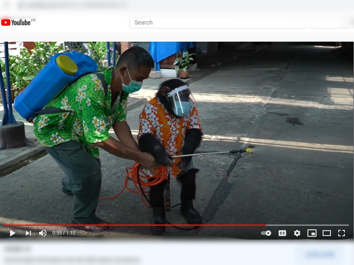 recTJvg9q5Ar0J06E (1)