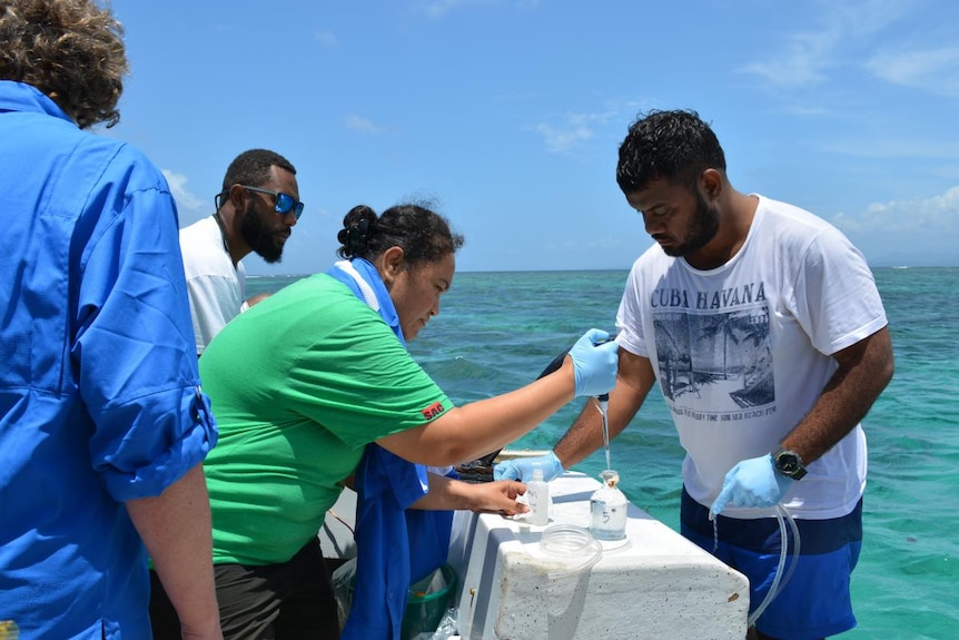 Pacific scientist pipetting seawater samples on a boat on the sea
