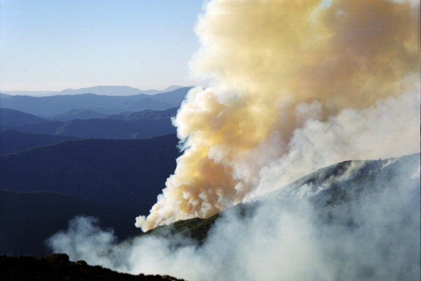 Fires burn through bush in 2003