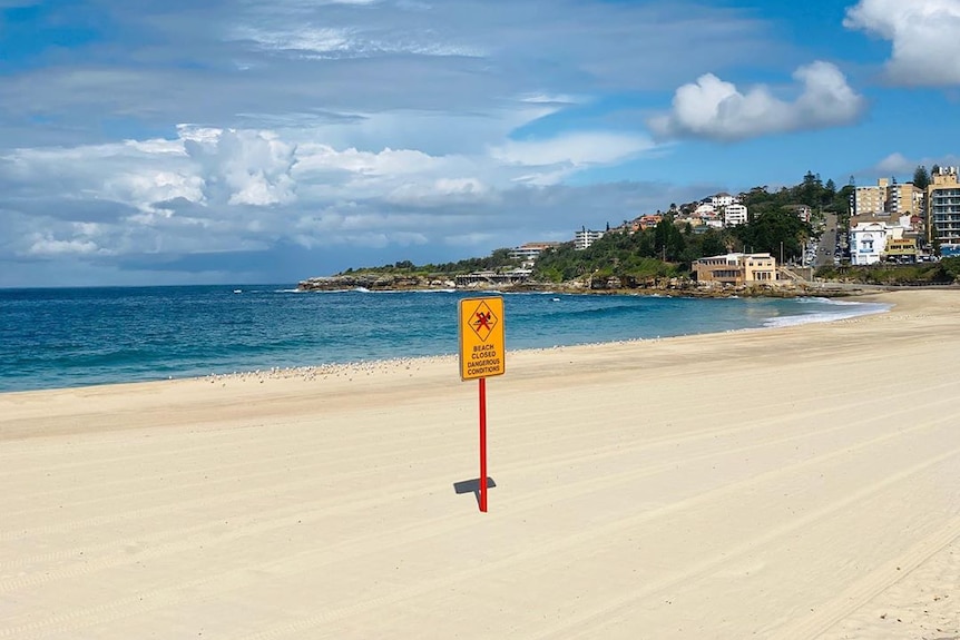 Beach closed sign on sand