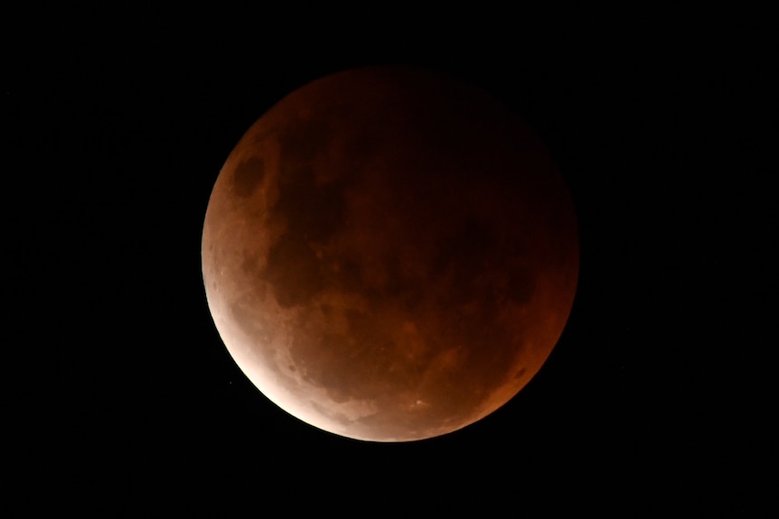 A close up image of a blood moon over Wollongong, New South Wales