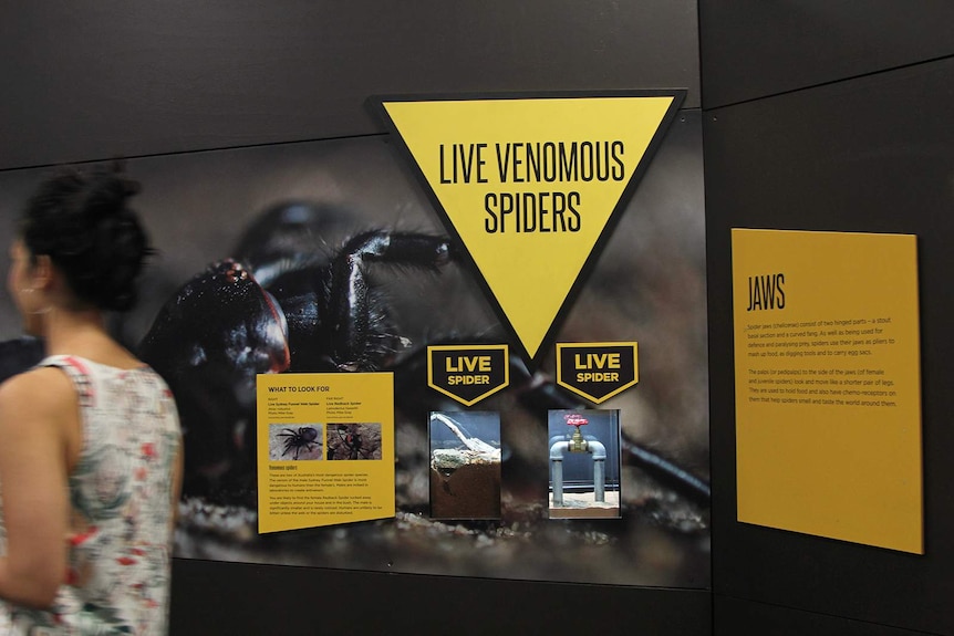 A photo of a woman walking past a sign that says 'live venomous spiders' inside a museum.