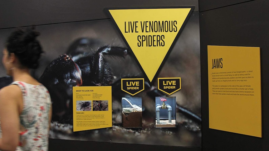 A photo of a woman walking past a sign that says 'live venomous spiders' inside a museum.