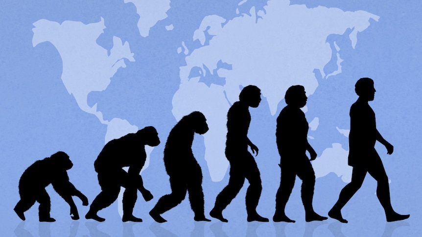A diagram shows evolution from ape to human