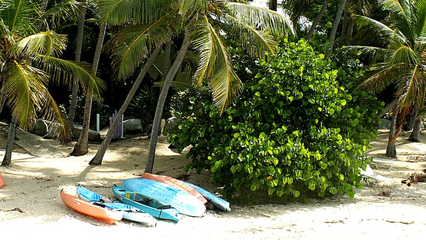 Cooper Island in the British Virgin Islands (Flickr: Robin Woltman)