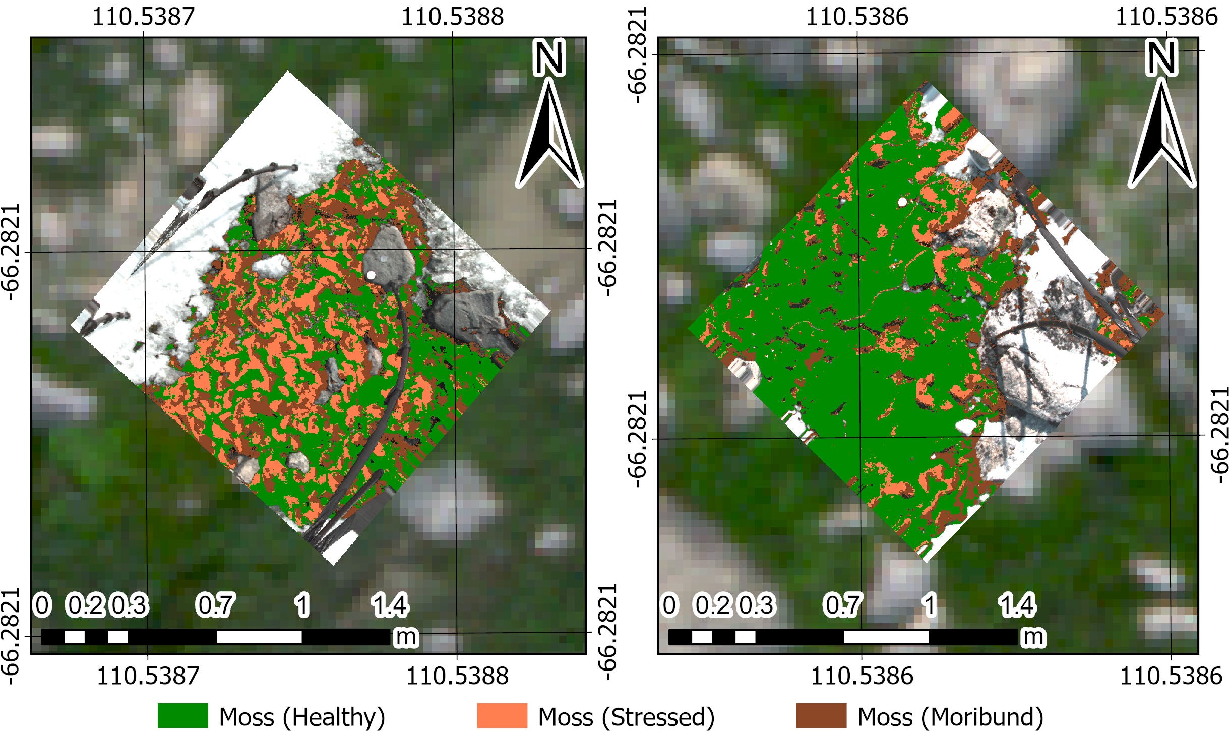 Maps showing healthy, stressed and moribund moss in different colours