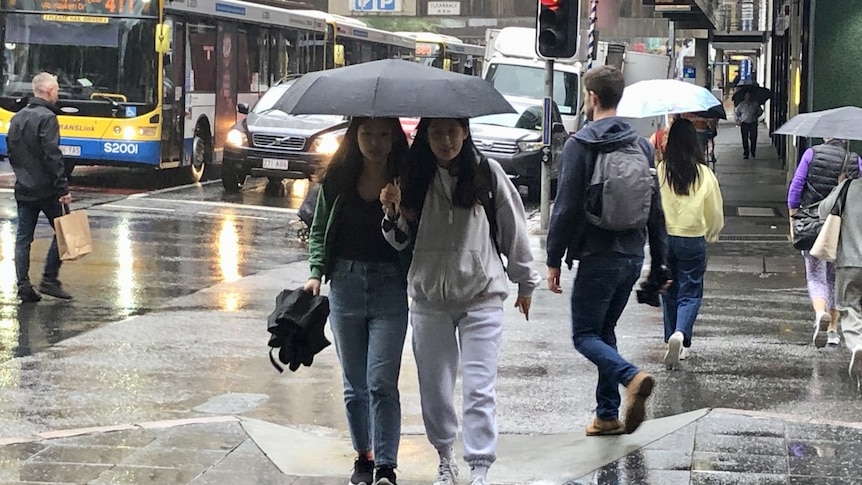 Queensland braces for severe weather as storms flash flooding and record-breaking rain set to hit parts of state – ABC News