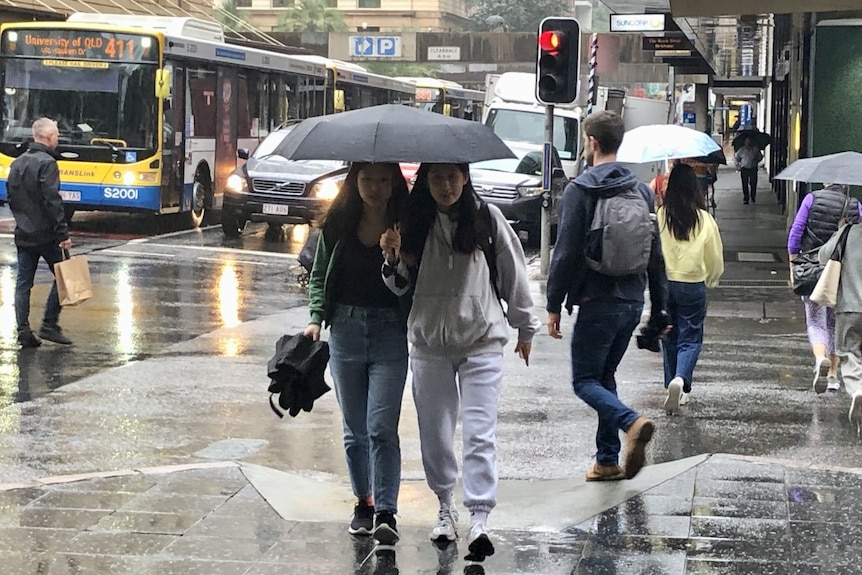 Two girls with umbrellas in the rain.