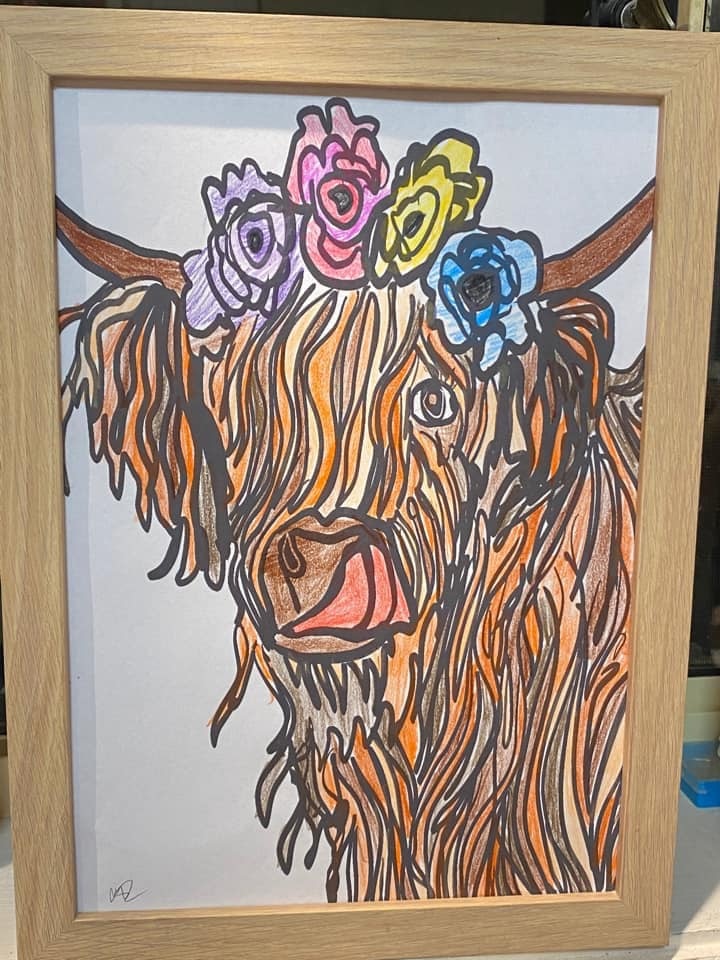 A long haired Scottish cow drawing