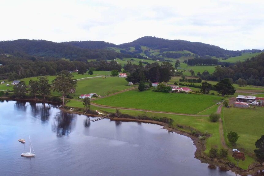 Cygnet landscape from the air.