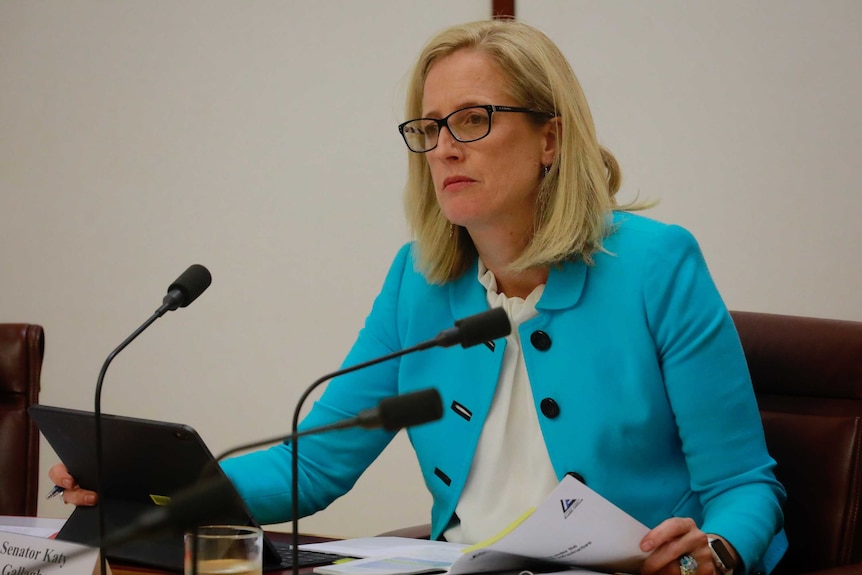 Katy Gallagher holds paper in her hand and touches an ipad as she questions witnesses at a Senate inquiry