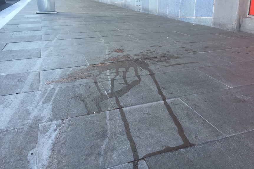 Blood stains on footpath outside Fever nightclub on Atchison Street, Wollongong.