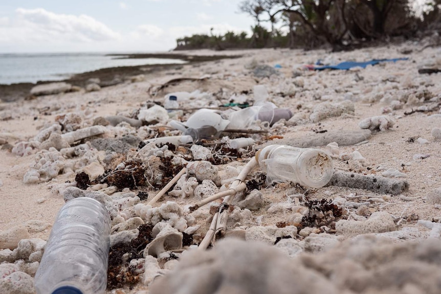 Plastic bottles litter the southern end of West Island.