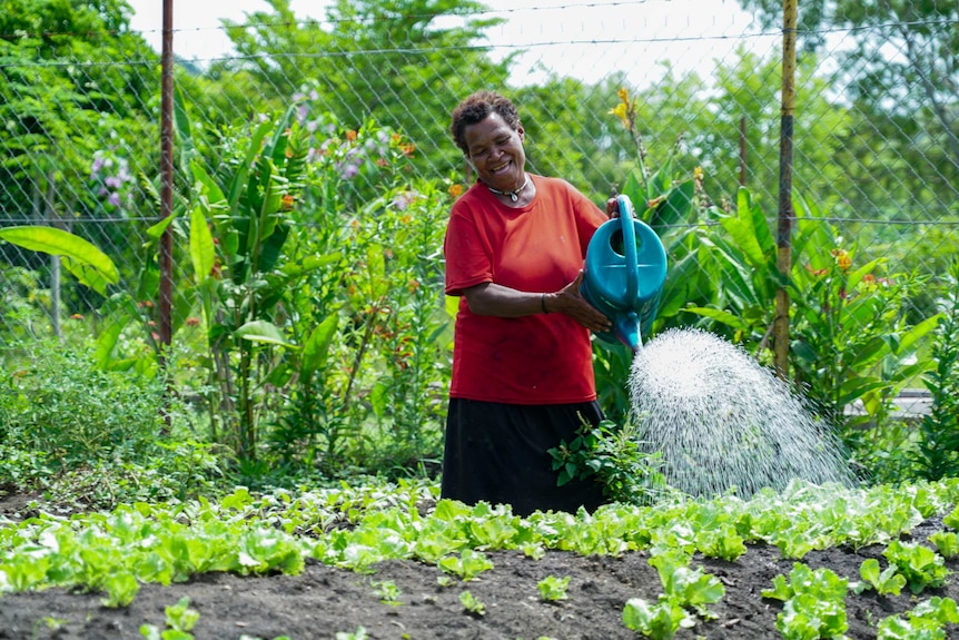 A woman watering a row of lettuces planted in a garden