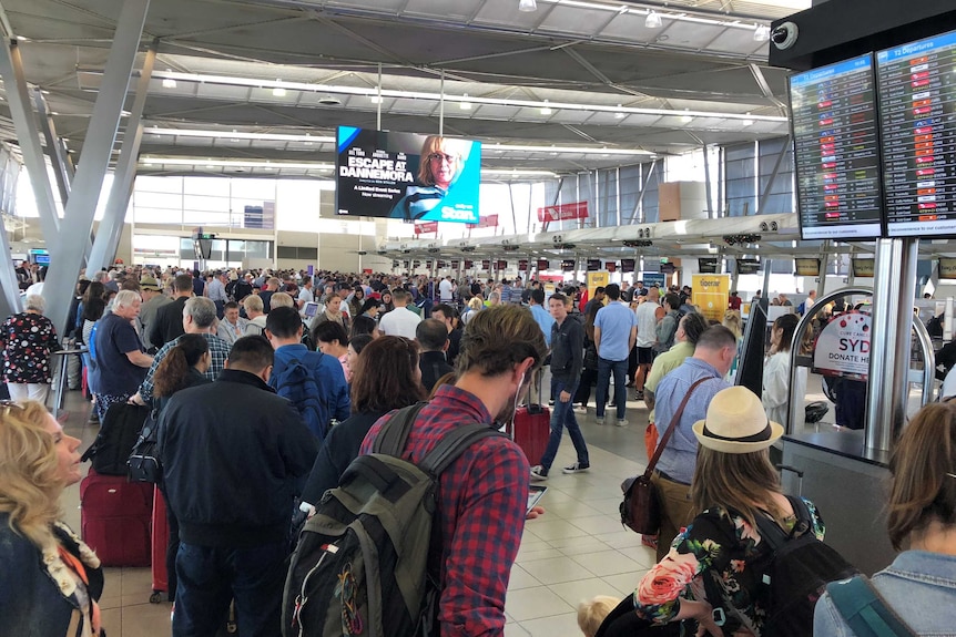 A mass of passengers waiting at Sydney's domestic airport.