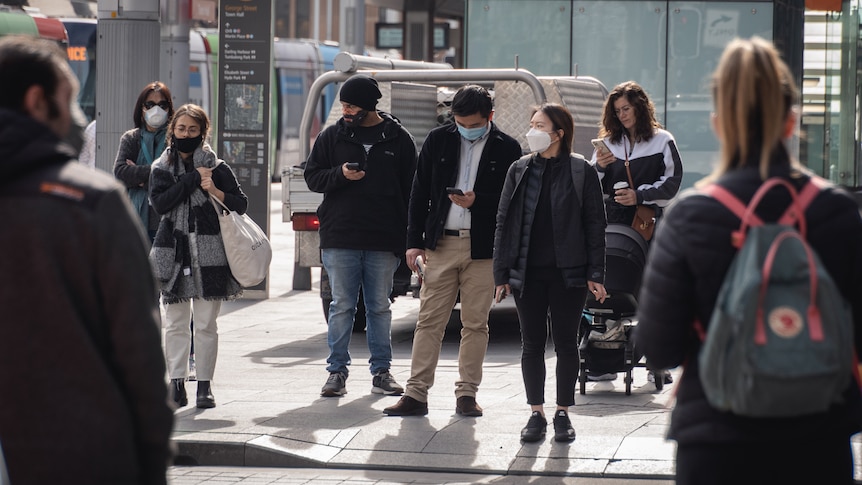 People in masks wait to cross a Sydney street