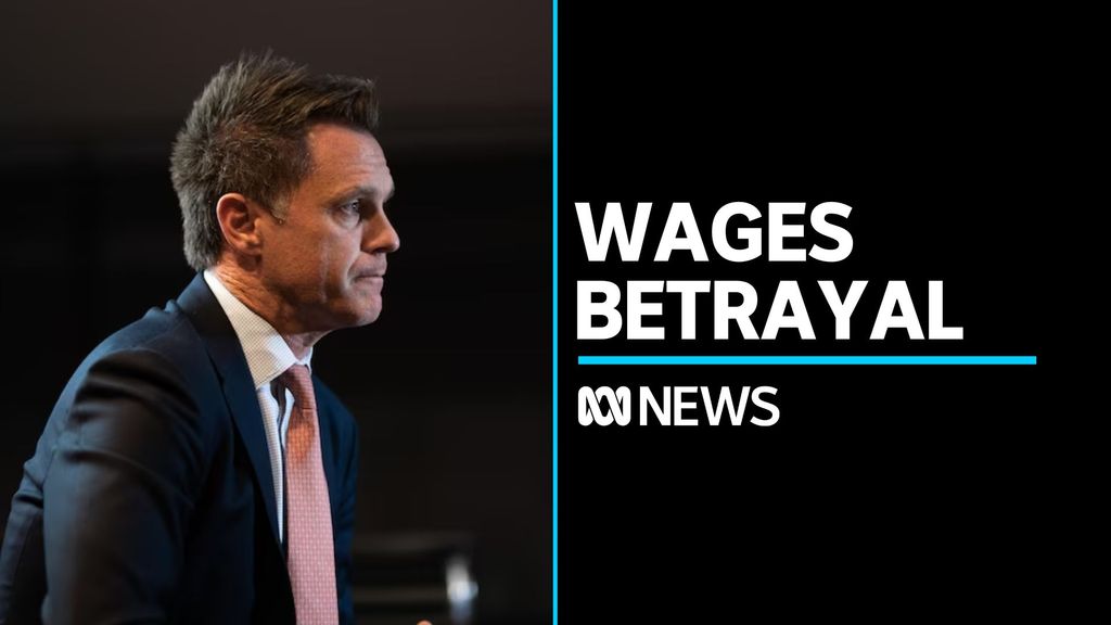 Teachers Union accuses NSW government of betrayal - ABC News