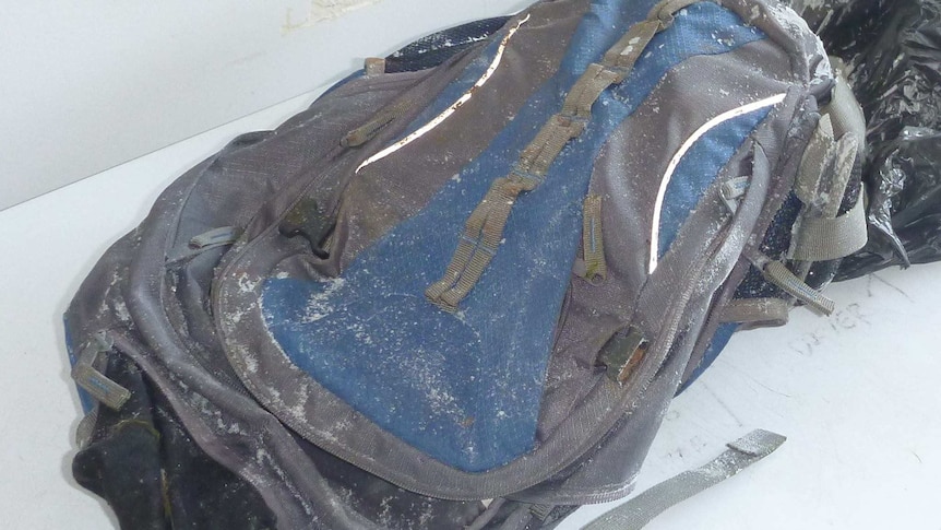 A dead cat was found in a backpack.