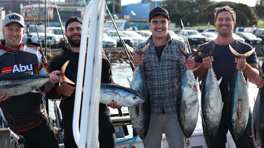 Four men proudly hold their freshly caught southern bluefin tuna on a charter boat in Portland Victoria