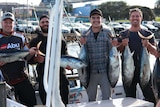 Four men proudly hold their freshly caught southern bluefin tuna on a charter boat in Portland Victoria