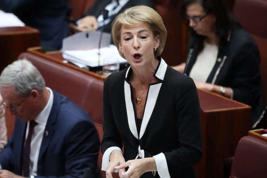 Senator Michaelia Cash speaking in the Senate.