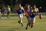 Footy players from two teams chase after a football on an oval mid-game
