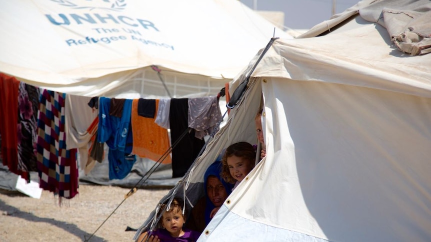 People stay in tents at Fallujah refugee camp.