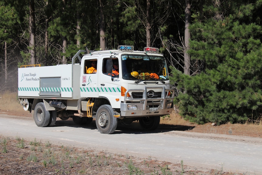 Fire truck driving along a dirt road with pine trees behind