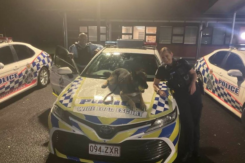 A dog sitting on a bonnet of a police car with ball, while two police officers pose either side