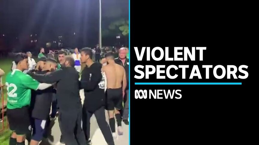 NSW government considers lifetime bans for violent spectators ABC News