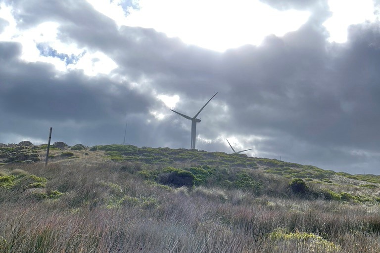 Wind turbines on a hill with brightly lit grass in foreground