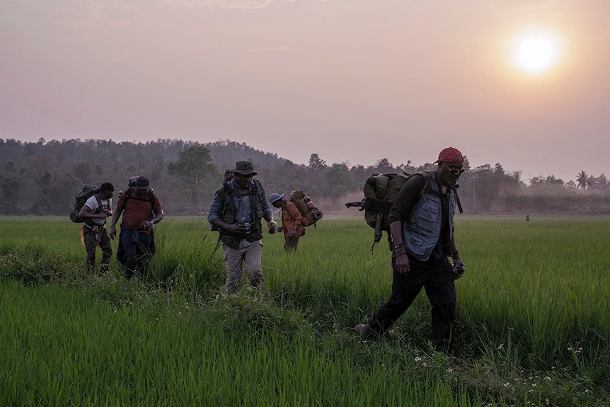 A group of five men with hiking backpacks and camping attire walk through grass field on a hazy day while sun is low in the sky.