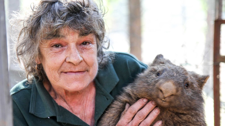 A woman holds a wombat
