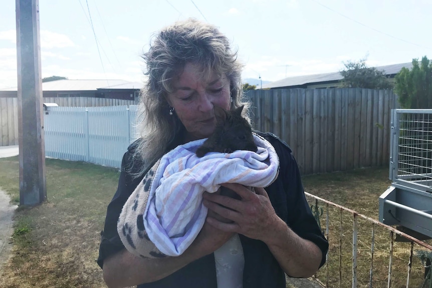 Wildlife carer Teena Hanslow holds a baby wallaby