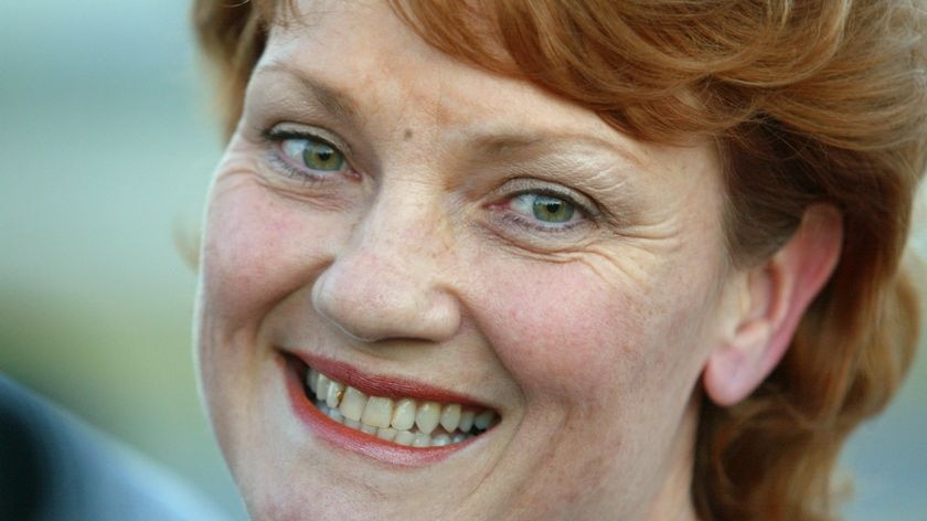 Ms Hanson says Kevin Andrews is acting in the national interest. (File photo)