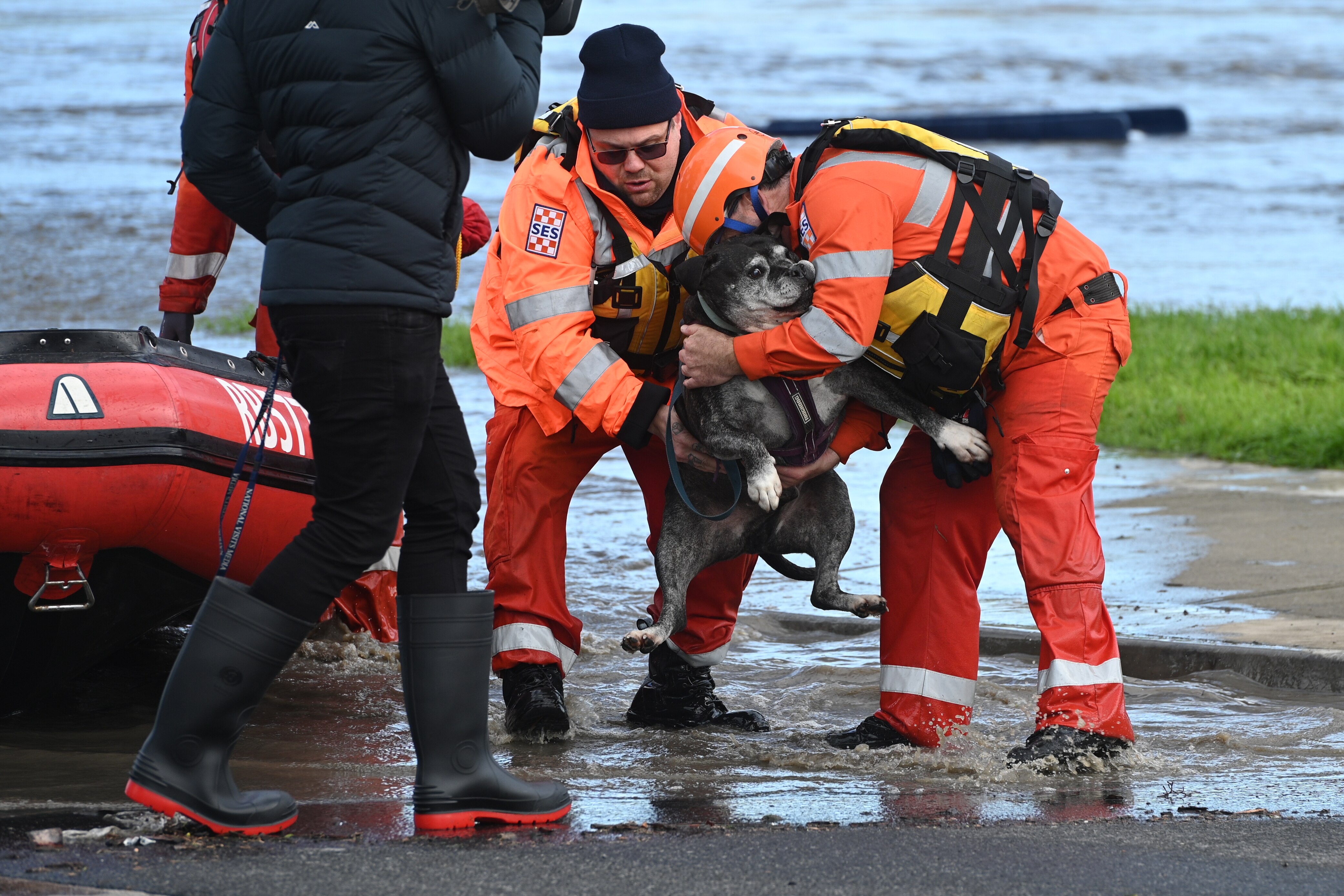 Rescuers wearing orange carry a dog above floodwater.