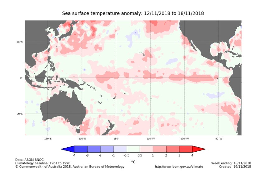 Map of Pacific ocean with lots of pink in the middle indicating hot ocean temperatures. The colour people go after a hot bath.