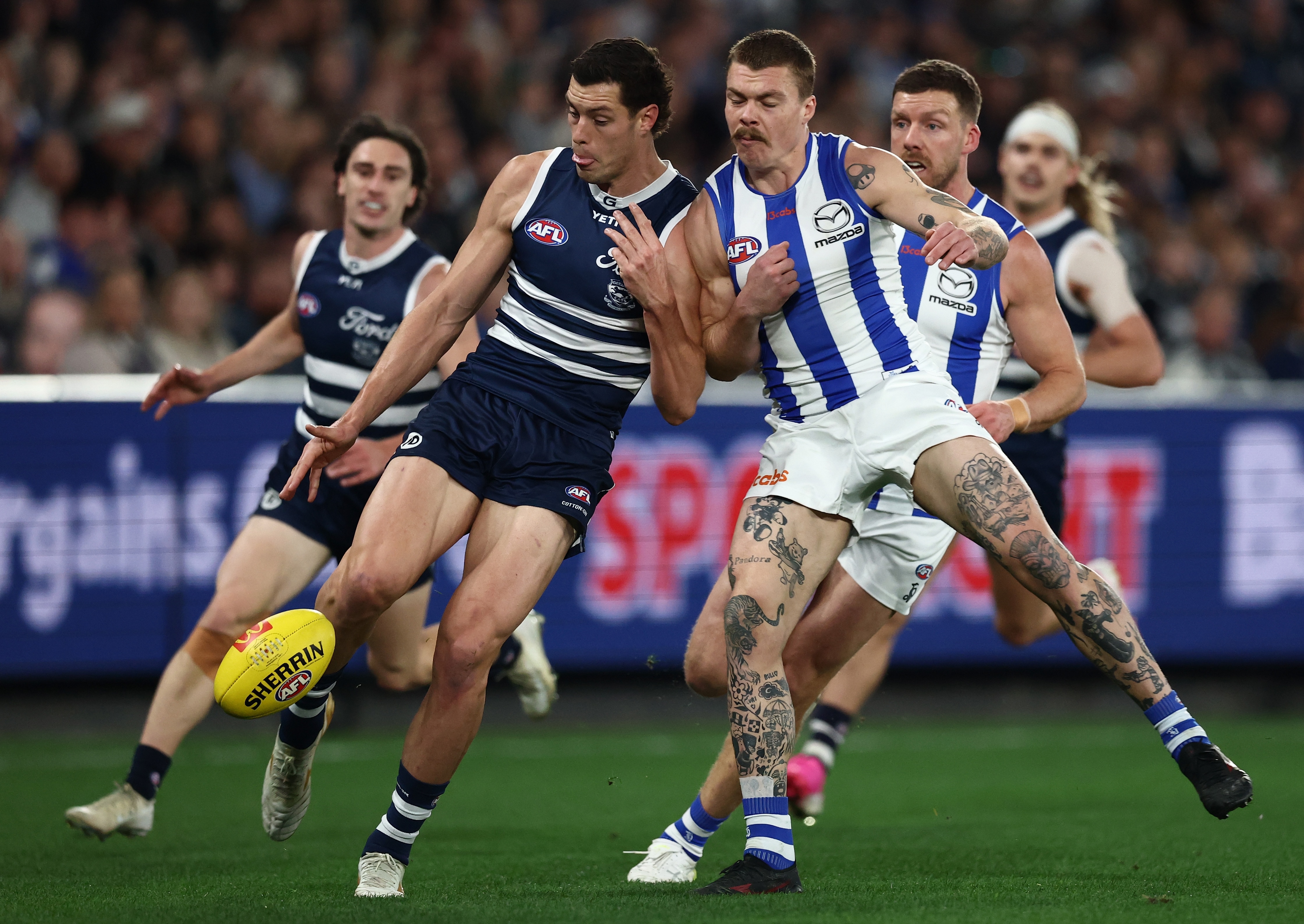 Live: Kangaroos off to flyer against Cats as Lions host Suns in Q-Clash