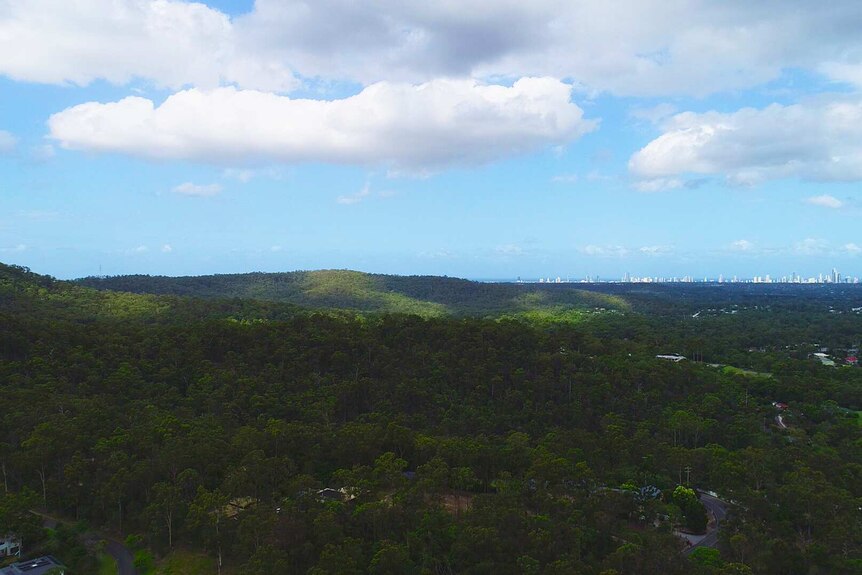 aerial view of bushland
