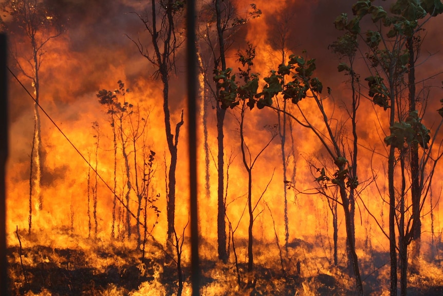 A bushflire blazes orange.