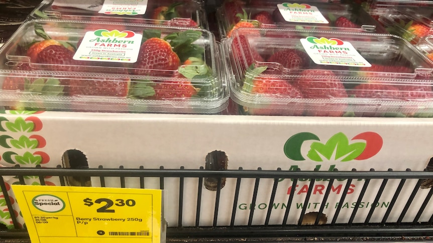 Strawberries in punnets being sold for $2.30 a 250g punnet.