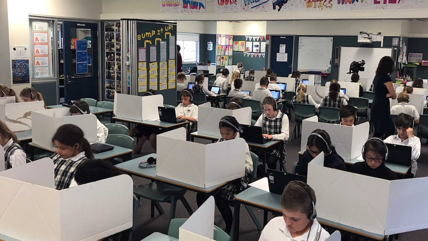 A classroom of students sit a practice NAPLAN test.