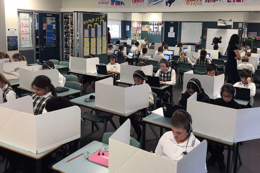 A classroom of students sit a practice NAPLAN test.