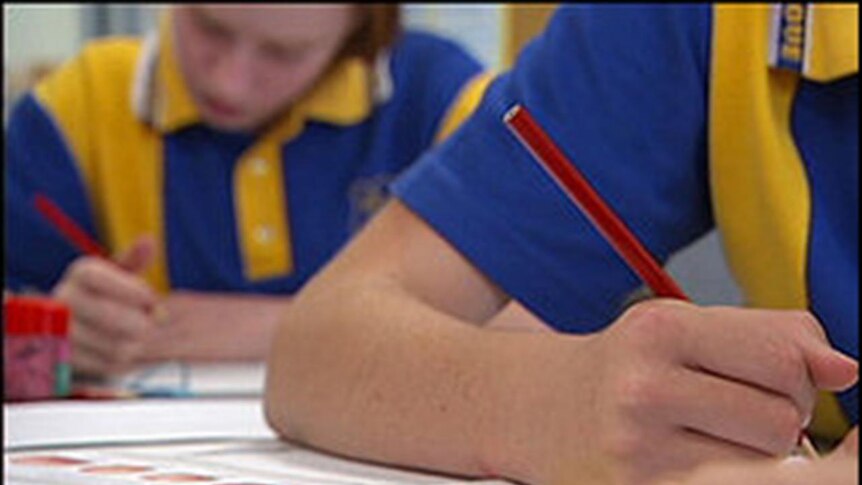 Unions are concerned NAPLAN results will be used for league tables on the My Schools website.