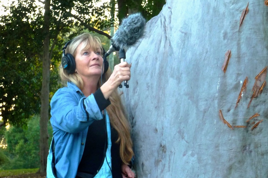 Jane Ulman recording