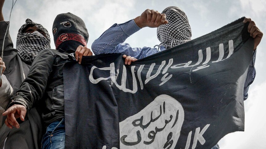 Demonstrators hold up the flag of the Islamic State group during a rally in Srinagar, India.