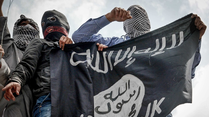 Demonstrators hold up the flag of the Islamic State group during a rally in Srinagar, India.