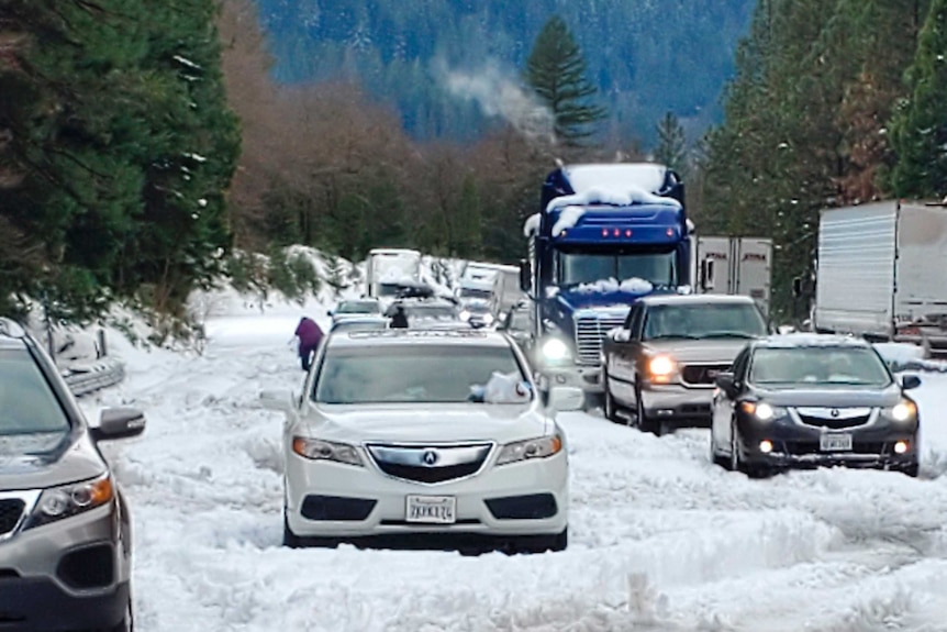 Cars and trucks are backed up along a road covered with thick snow.