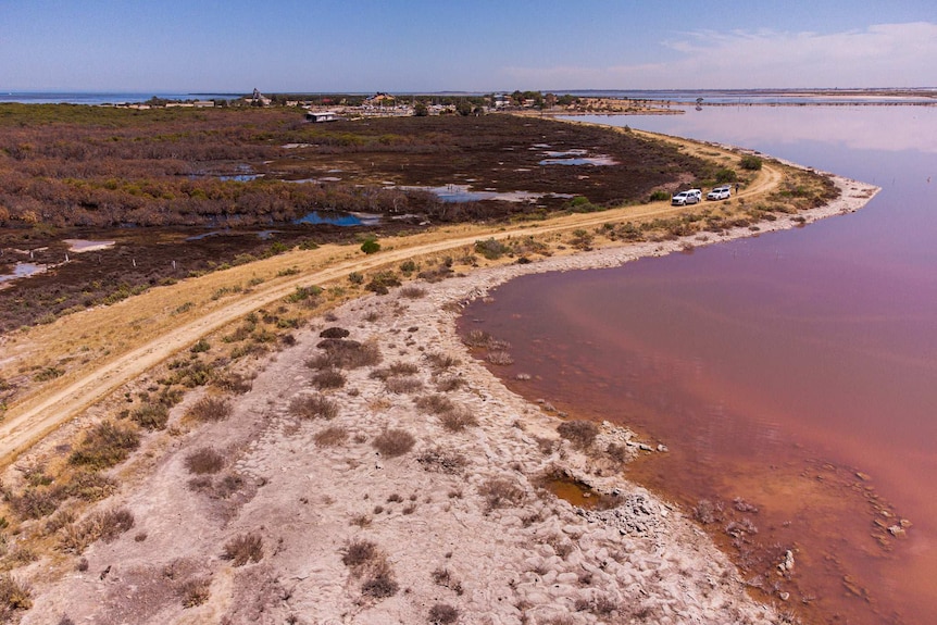 St Kilda mangroves