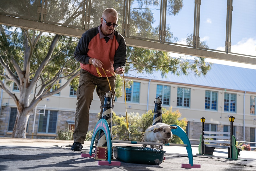 Hopping Society of Australia president Neil Worley with jumping rabbit.